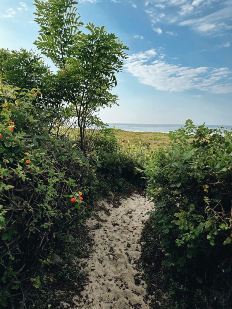 what to do in puerto escondido beach path scaled 865x1153