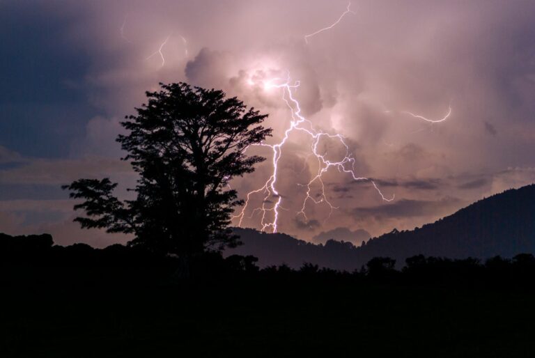 thunderstorm lightning and tree in guatemala