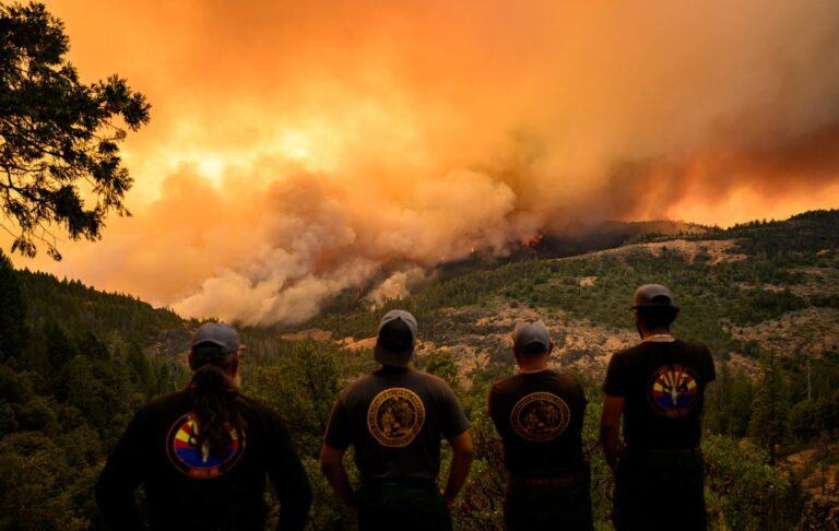 Firefighters watch fire