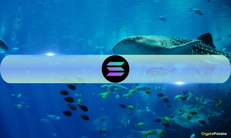 Solana Whales