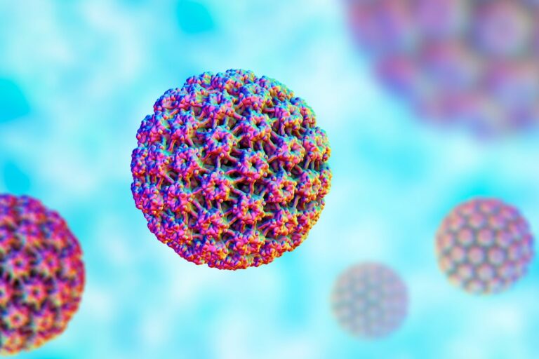 human papilloma virus hpv